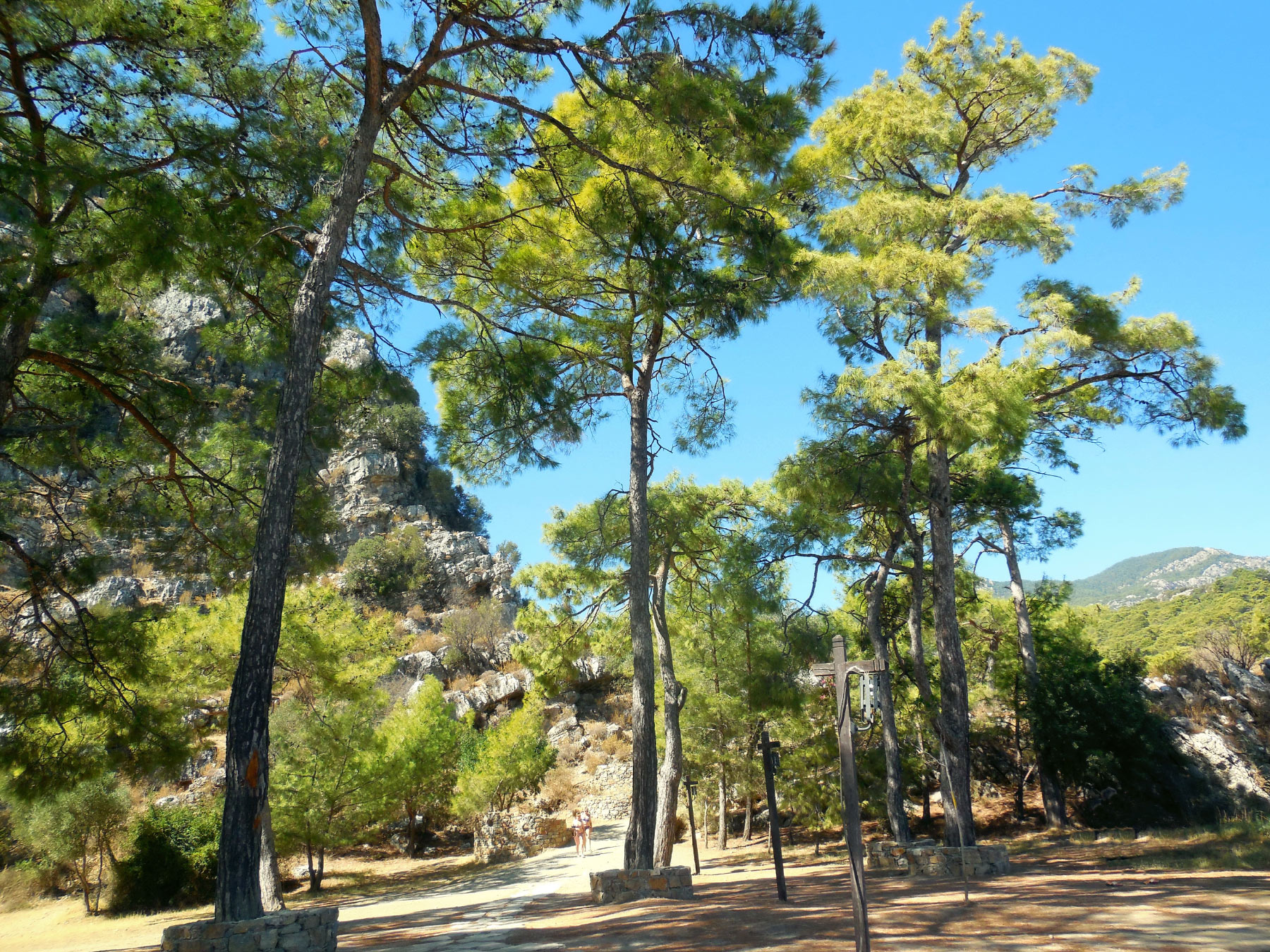 Dalyan